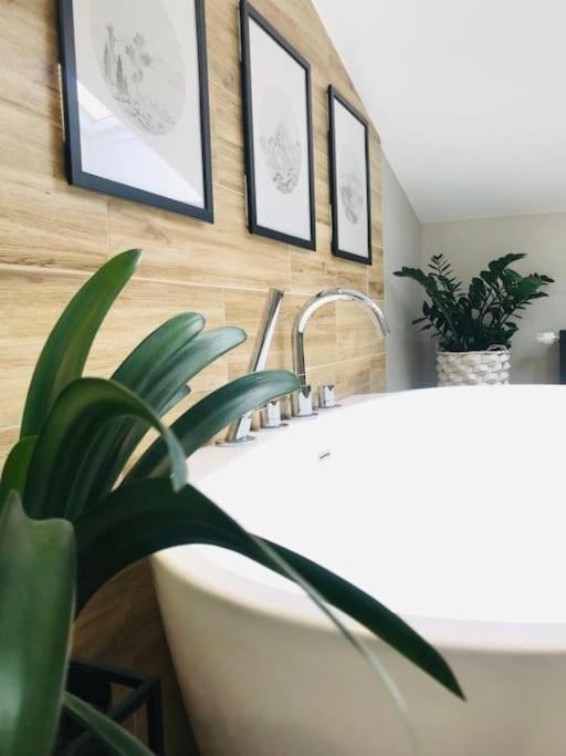 Qwadrat Apartament 15 In Bielsko-Biala City Center المظهر الخارجي الصورة