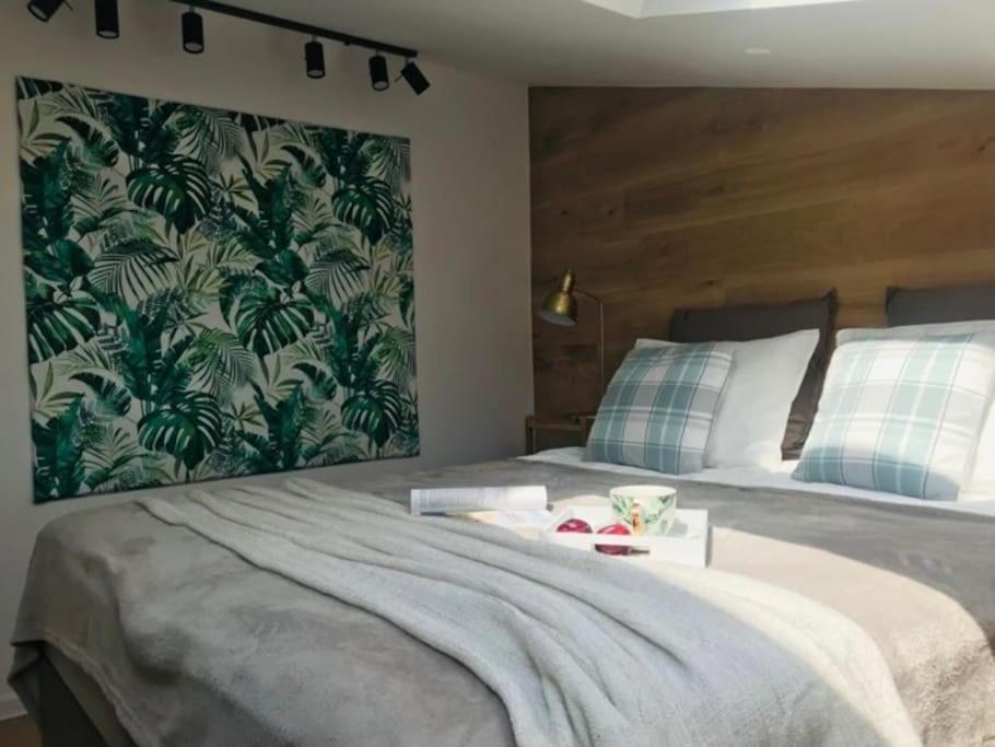 Qwadrat Apartament 15 In Bielsko-Biala City Center المظهر الخارجي الصورة