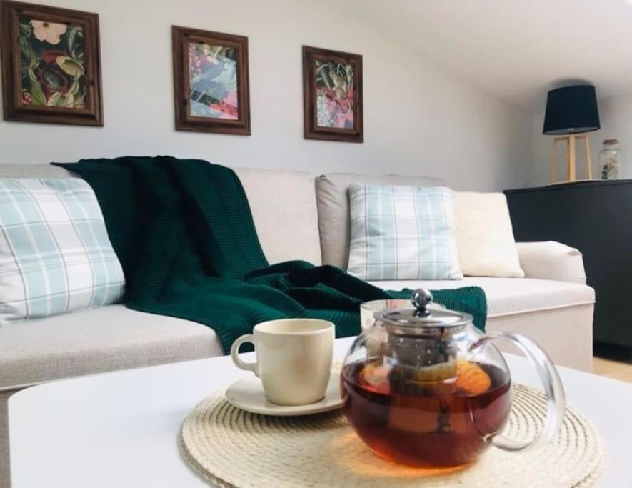 Qwadrat Apartament 15 In Bielsko-Biala City Center المظهر الخارجي الصورة